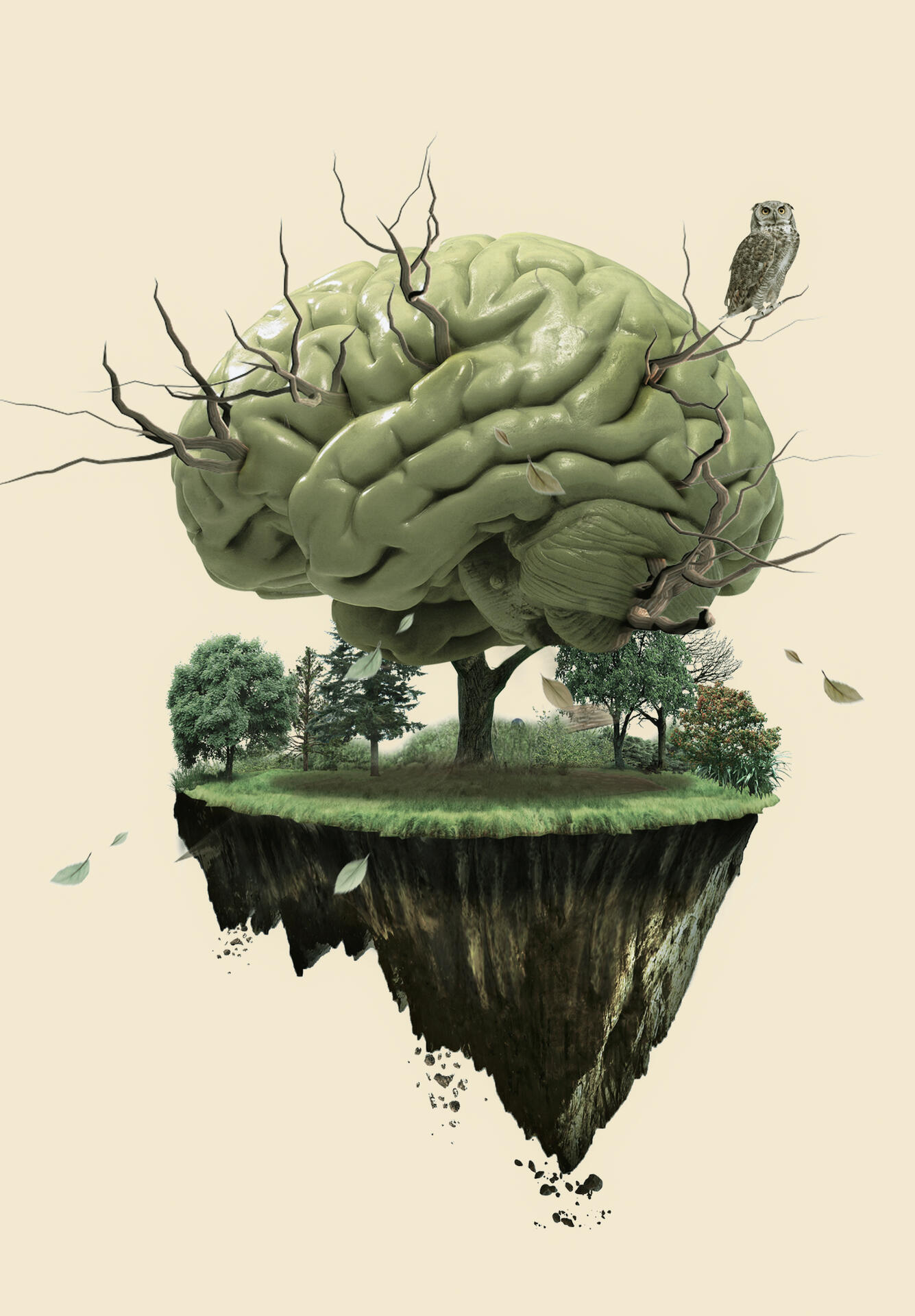 Destruction of Nature